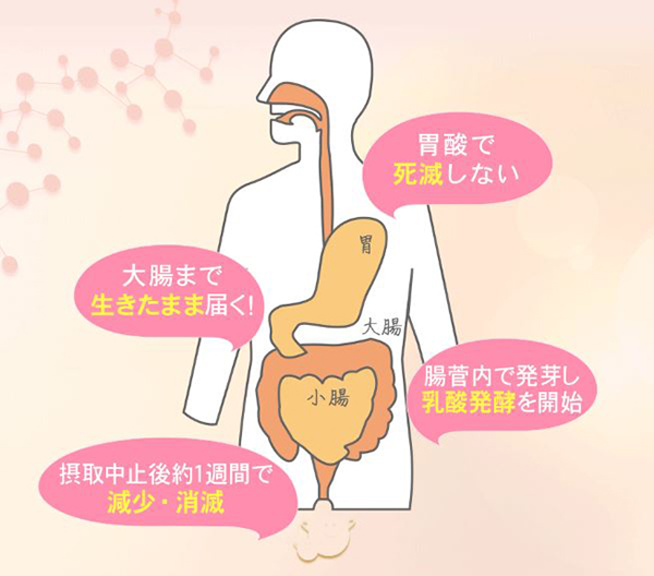 ビオリーナ 評判 口コミ