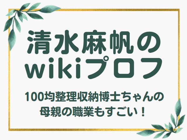清水麻帆 wiki プロフィール